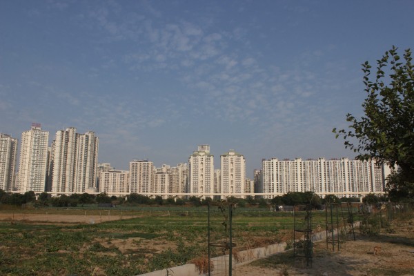 noida-metro-city