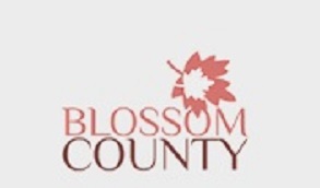 Vinayak Blossom County