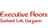 Omaxe Executive Floors, Sushant Lok II