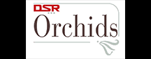 DSR Orchids