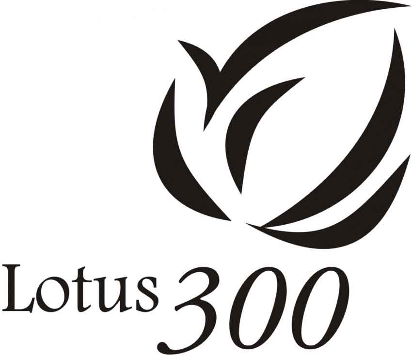 Lotus 300