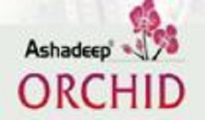 Ashadeep Orchid