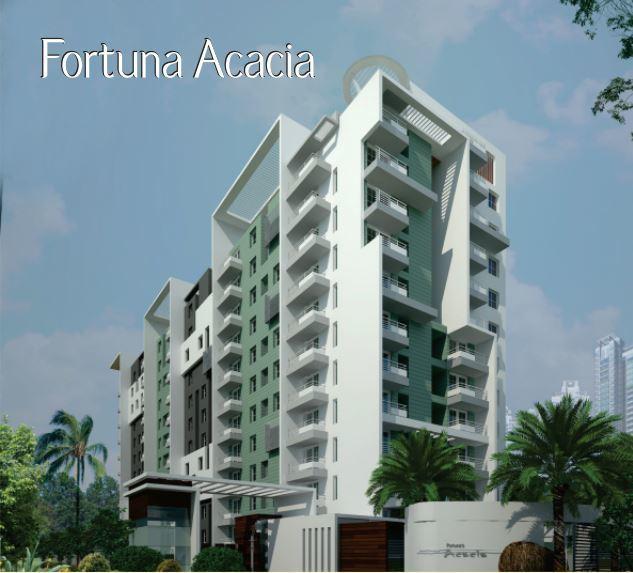 Fortuna Acacia